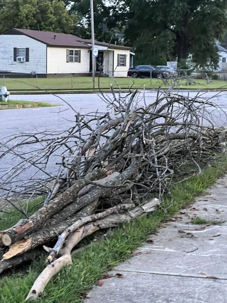 Custom garden landscaping near you across Memphis, TN - Substantial Property Management