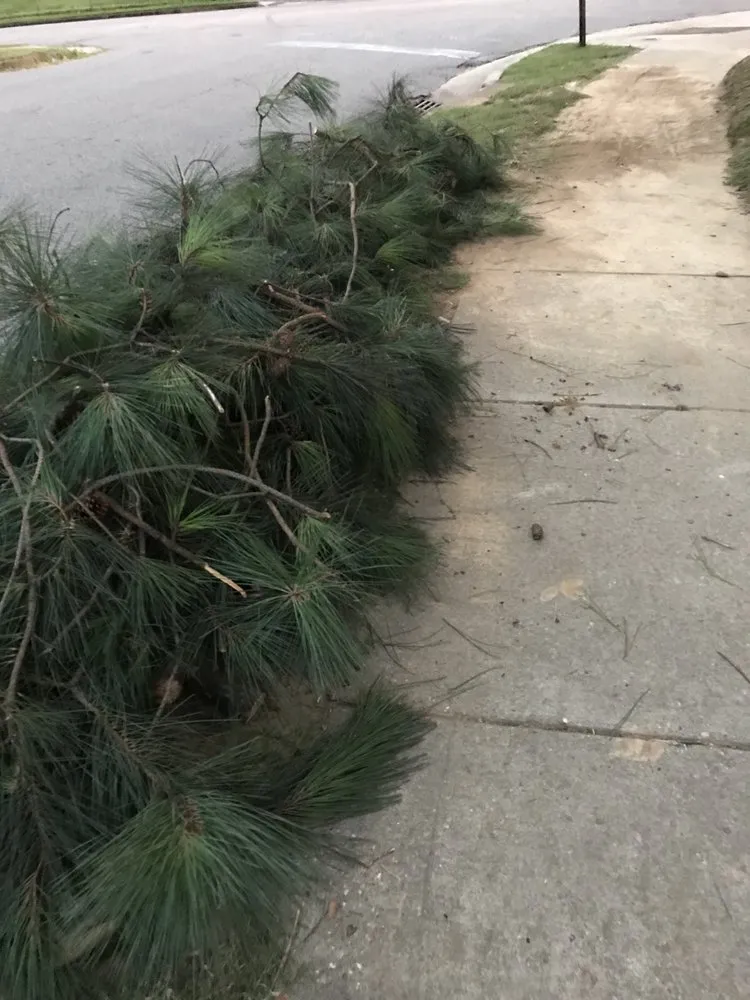 Top-rated garden landscaping with custom design in Memphis, TN by Substantial Property Management