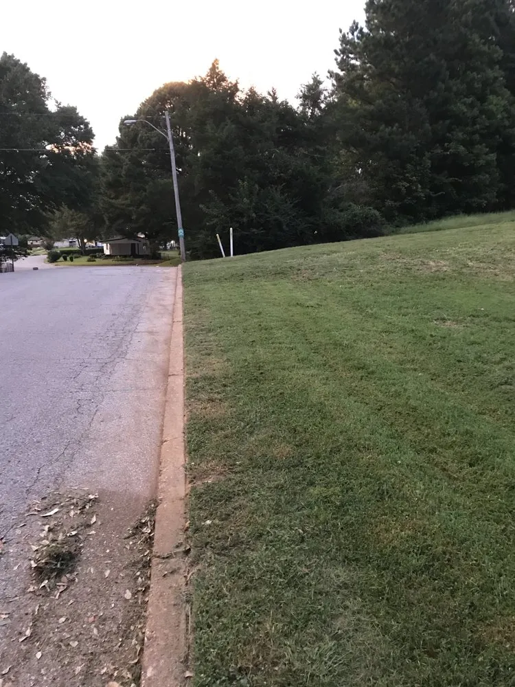 Local landscape design for year-round maintenance in Memphis, TN by Substantial Property Management