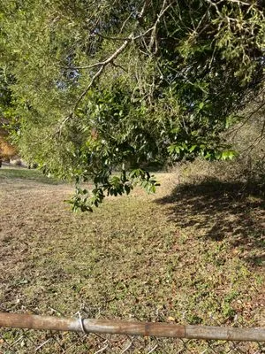 Substantial Property Management Logo