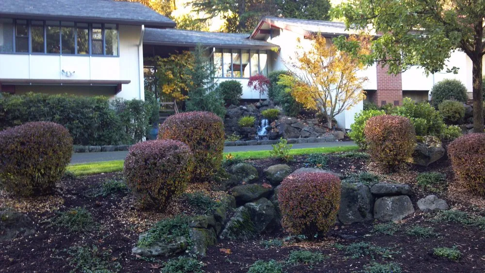 Custom yard cleanup service in Lebanon, OR by Suburban Landscape Maintenance