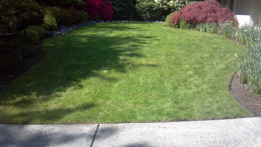 Top-rated yard maintenance with custom design across Lebanon, OR - Suburban Landscape Maintenance