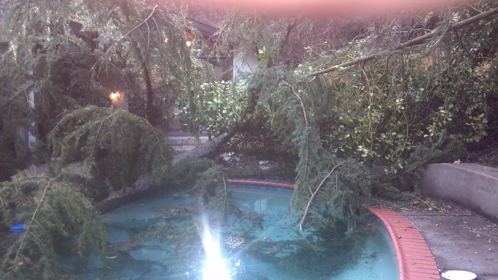 Local lawn care service in Lebanon, OR - Suburban Landscape Maintenance