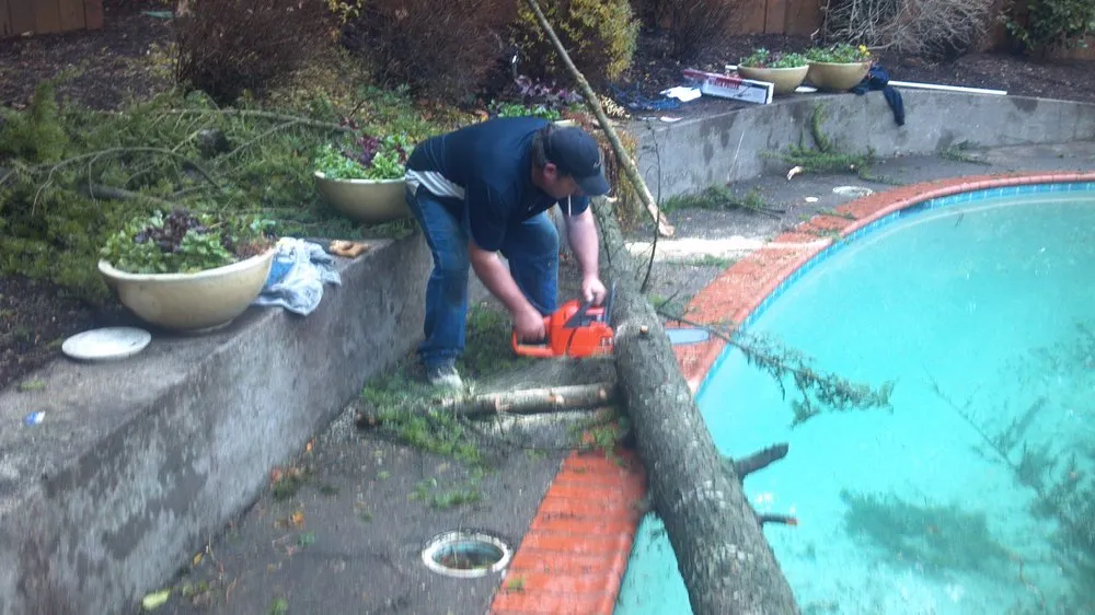 Professional landscape installation in Lebanon, OR - Suburban Landscape Maintenance