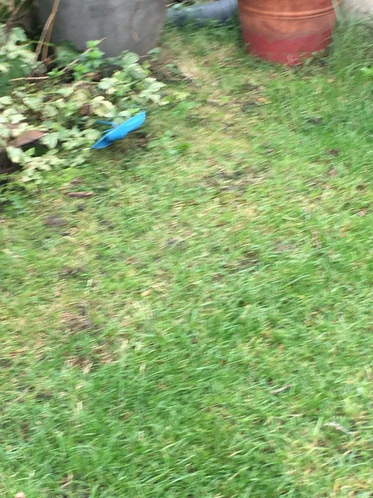 Affordable outdoor landscaping near you in Chicago Heights, IL by Suburban Landscaping