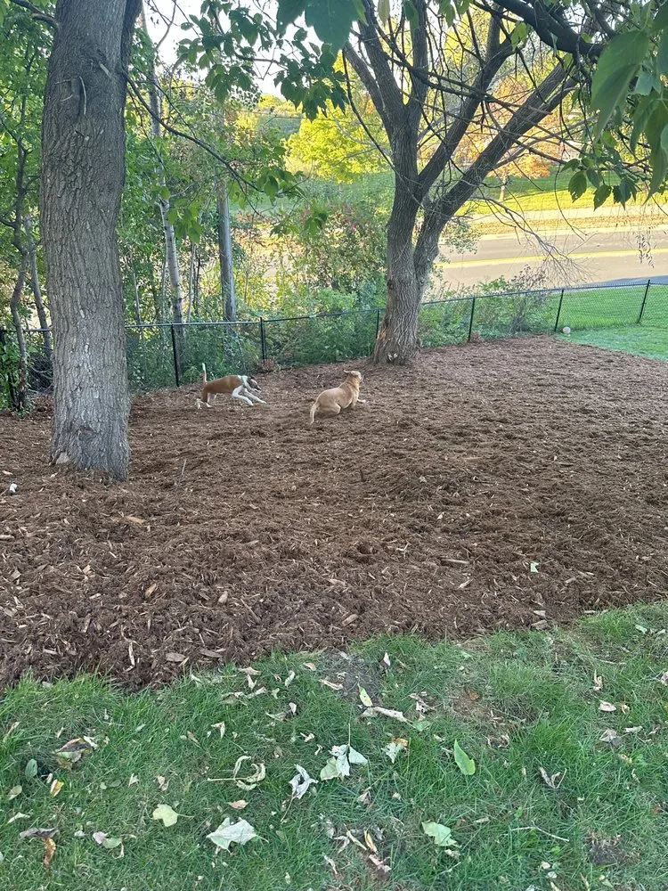 Trusted outdoor landscaping for homes across Eagan, MN - Suburban Landscaping Service