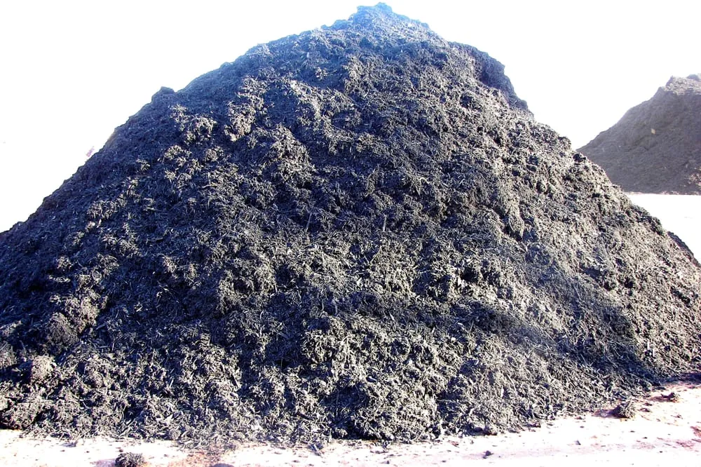 Reliable lawn care service near you in Kansas City, MO by Suburban Lawn & Garden - Yard Waste