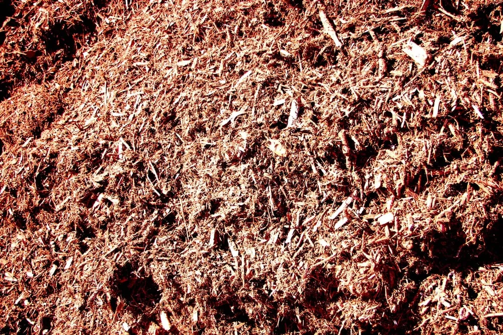 Expert lawn mowing service in Kansas City, MO by Suburban Lawn & Garden - Yard Waste