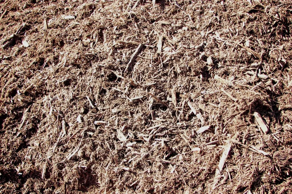 Affordable garden landscaping for year-round maintenance across Kansas City, MO - Suburban Lawn & Garden - Yard Waste