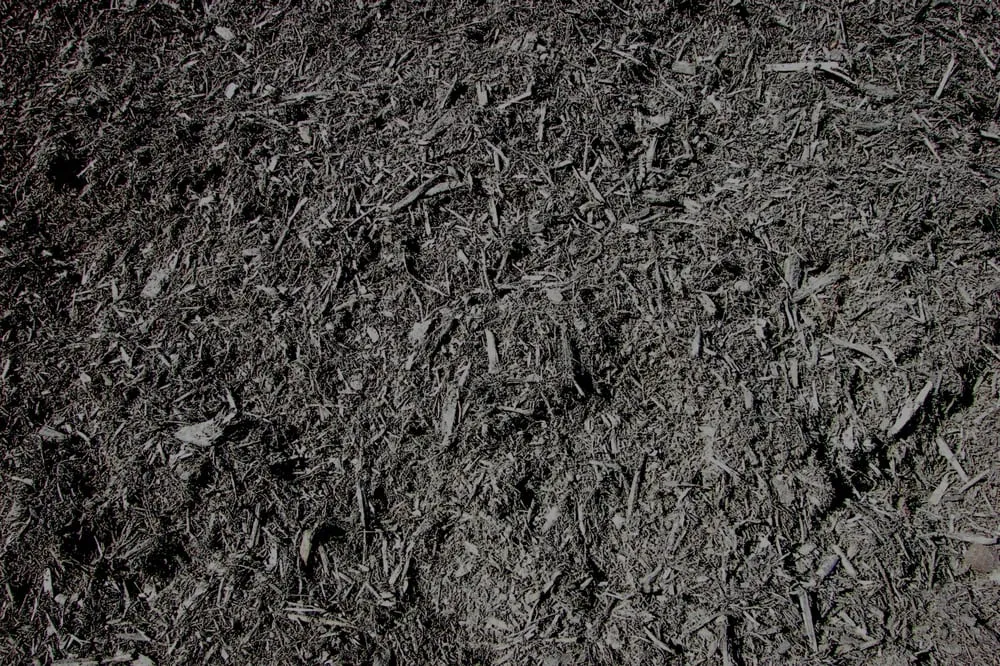 Top-rated residential landscaping for outdoor upgrades in Kansas City, MO by Suburban Lawn & Garden - Yard Waste