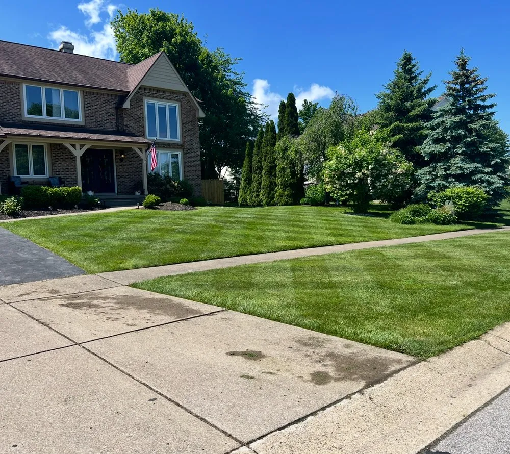 Affordable yard cleanup service in Hamburg, NY by Suburban Lawn & Landscape