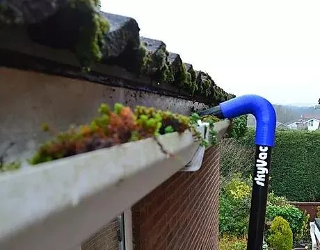 Professional yard cleanup service experts serving Wayne, PA - Suburban Lawn and Landscaping