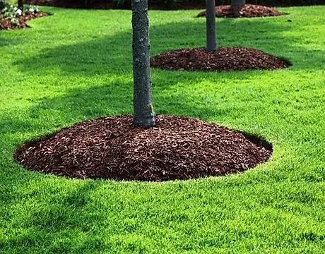 Professional lawn mowing service for beautiful yards in Wayne, PA by Suburban Lawn and Landscaping