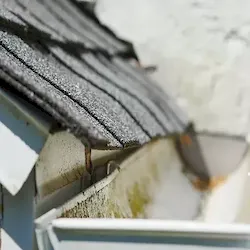 Local outdoor landscaping in Wayne, PA - Suburban Lawn and Landscaping