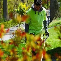 Expert landscape installation for outdoor upgrades in Wayne, PA by Suburban Lawn and Landscaping