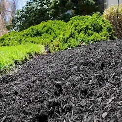 Expert residential landscaping experts serving Wayne, PA - Suburban Lawn and Landscaping