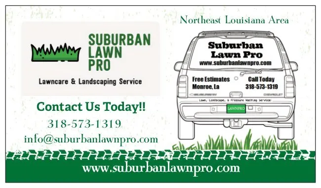 Reliable outdoor landscaping in Monroe, LA by Suburban Lawn Pro