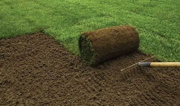 Reliable landscape installation in Glen Ellyn, IL - Suburban Rehab and Development Group