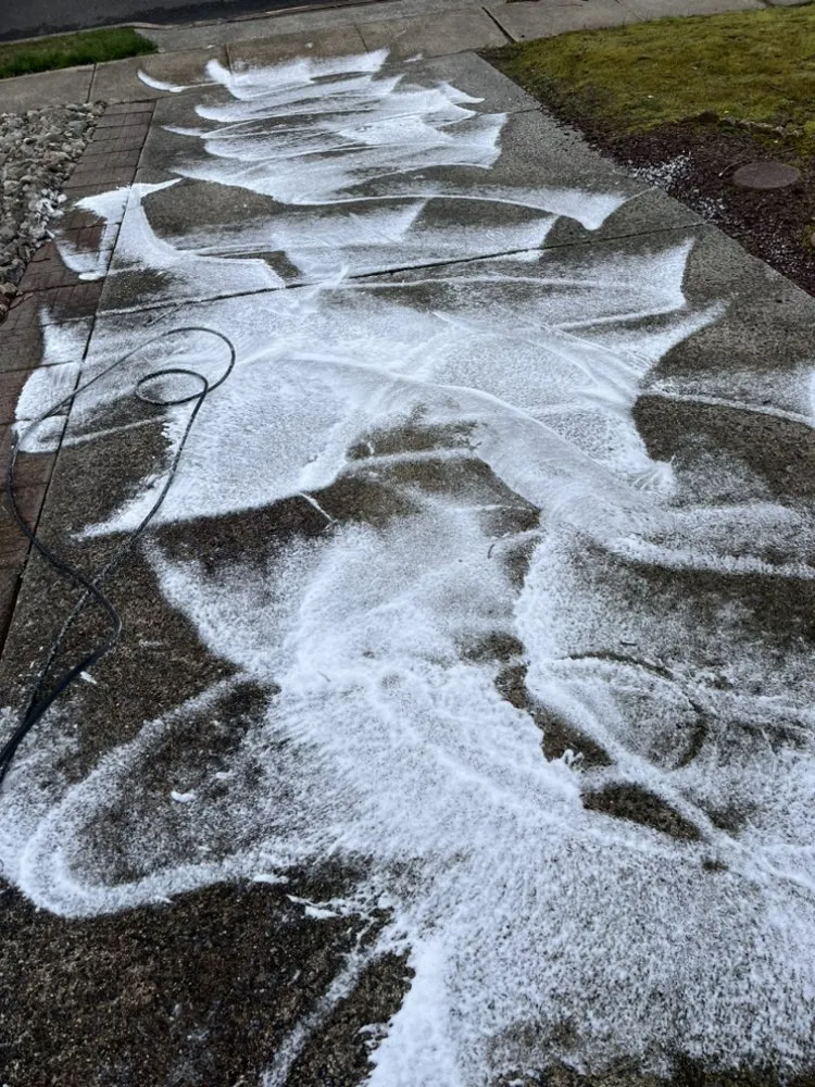 Local landscape installation in Merchantville, NJ by Suburban Shine