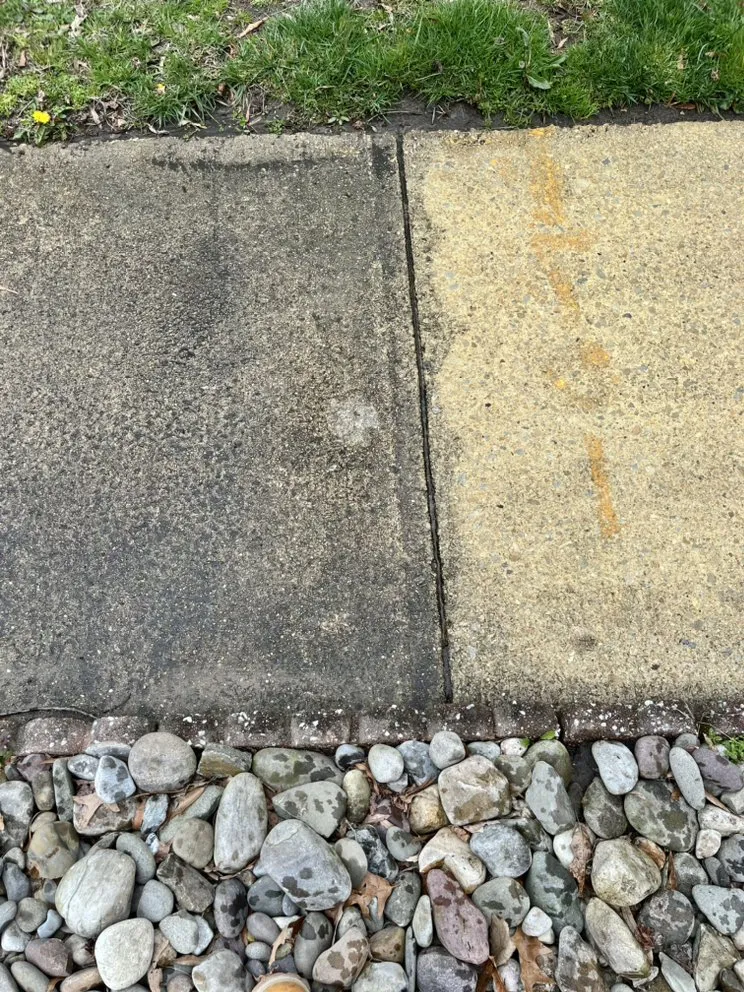 Professional yard maintenance in Merchantville, NJ by Suburban Shine