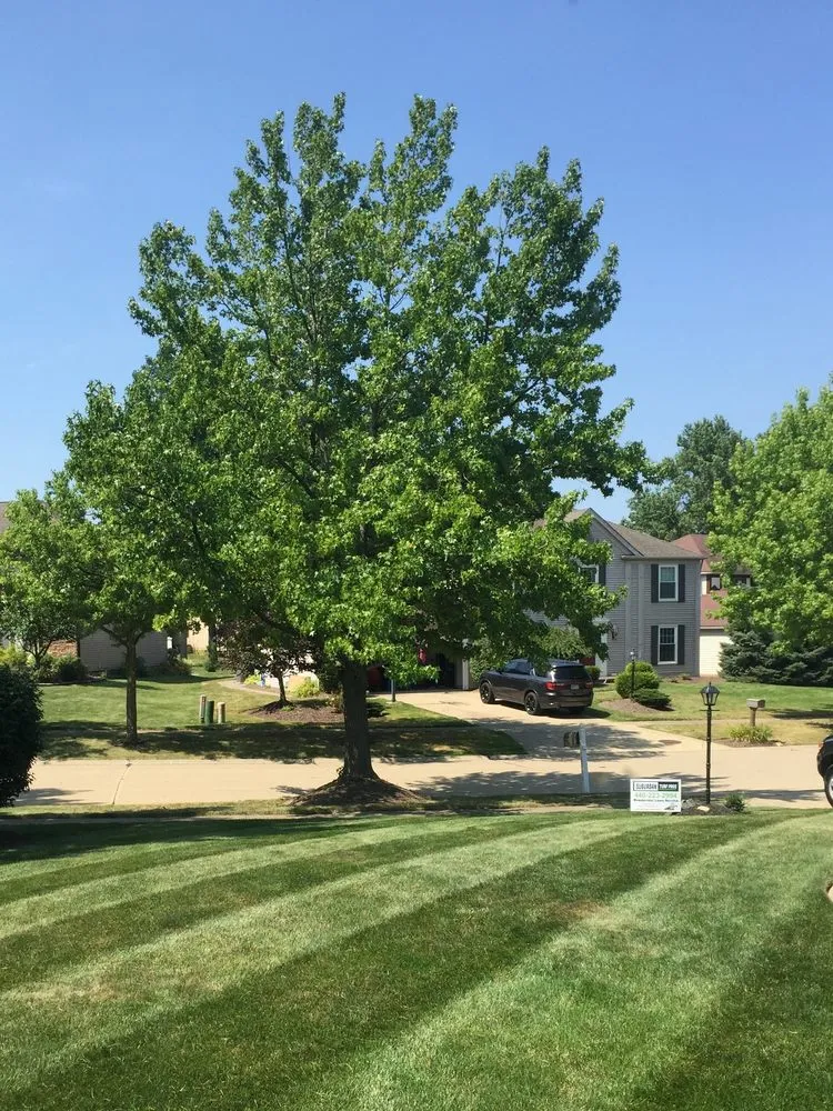 Professional outdoor landscaping for outdoor upgrades across Strongsville, OH - Suburban Turf Pros