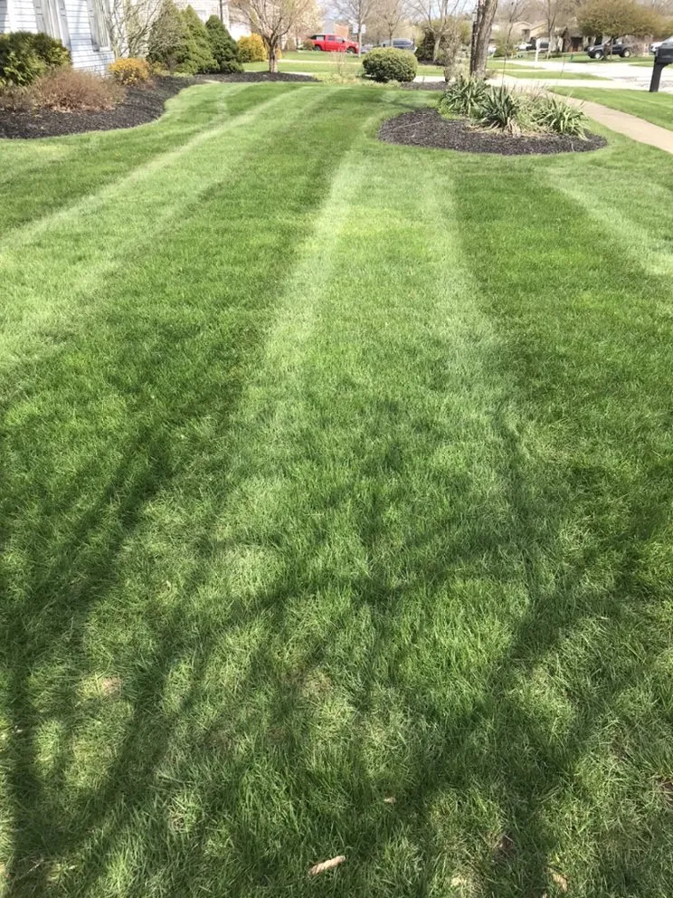 Reliable landscape installation for outdoor upgrades across Strongsville, OH - Suburban Turf Pros