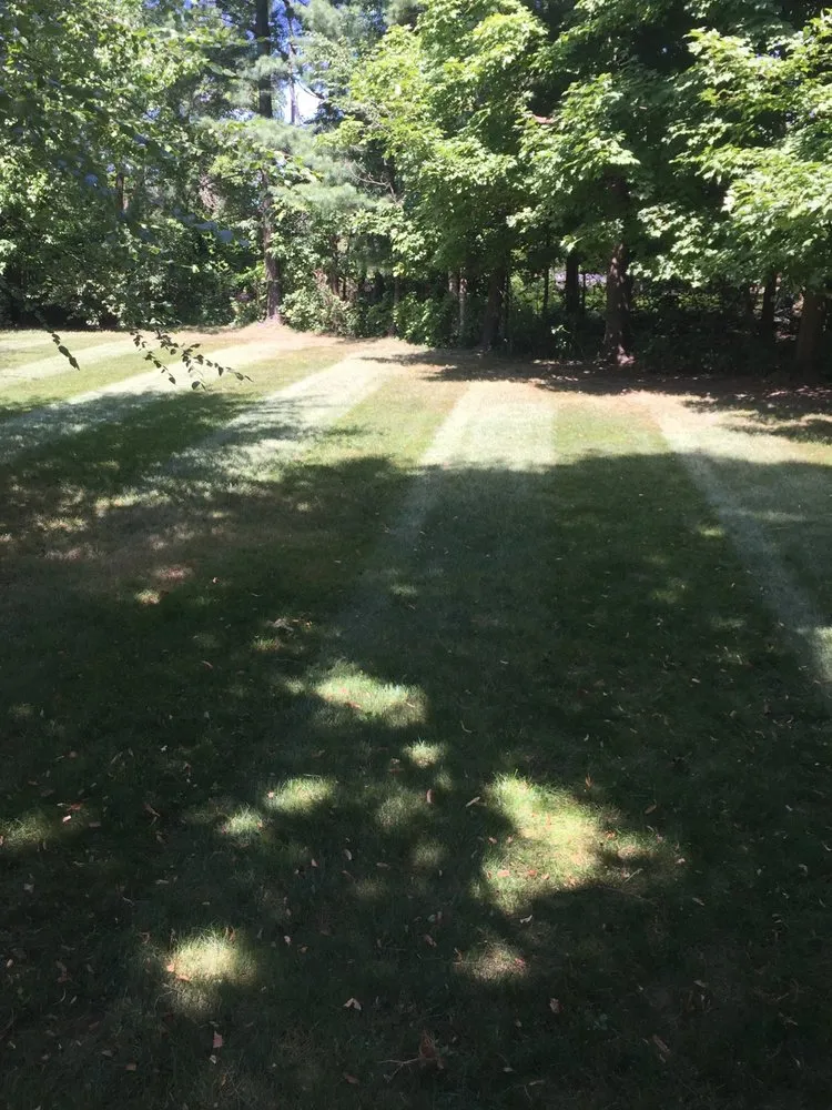 Local lawn care service in Strongsville, OH - Suburban Turf Pros