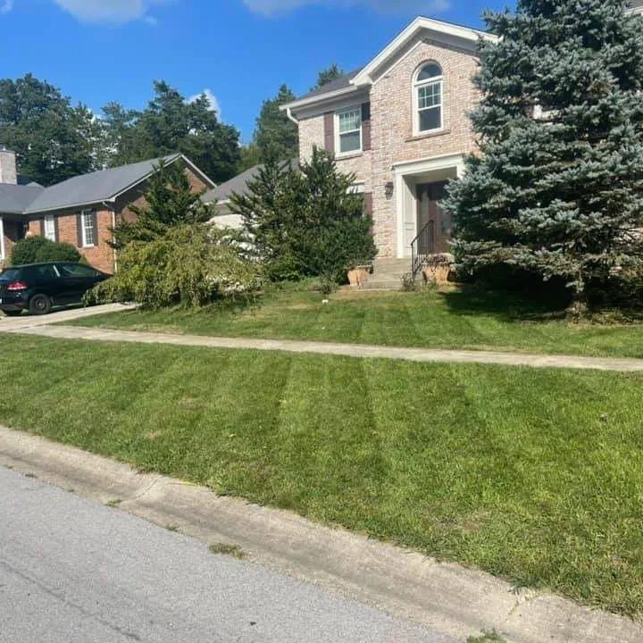 Top-rated lawn mowing service for homes across Louisville, KY - Succes Lawn Services