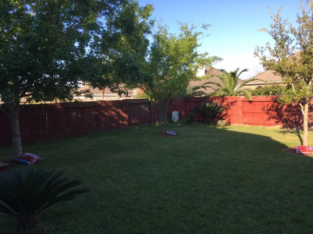 Custom yard maintenance experts serving Richmond, TX - Success General Contractors