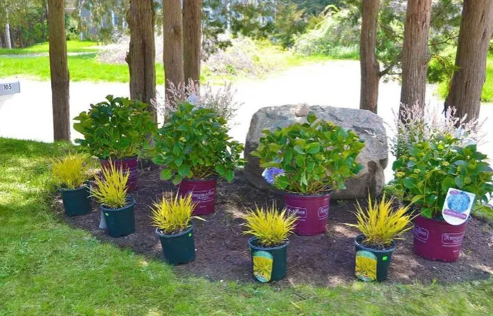 Affordable yard maintenance for year-round maintenance across Somers, CT - Successful Lawns