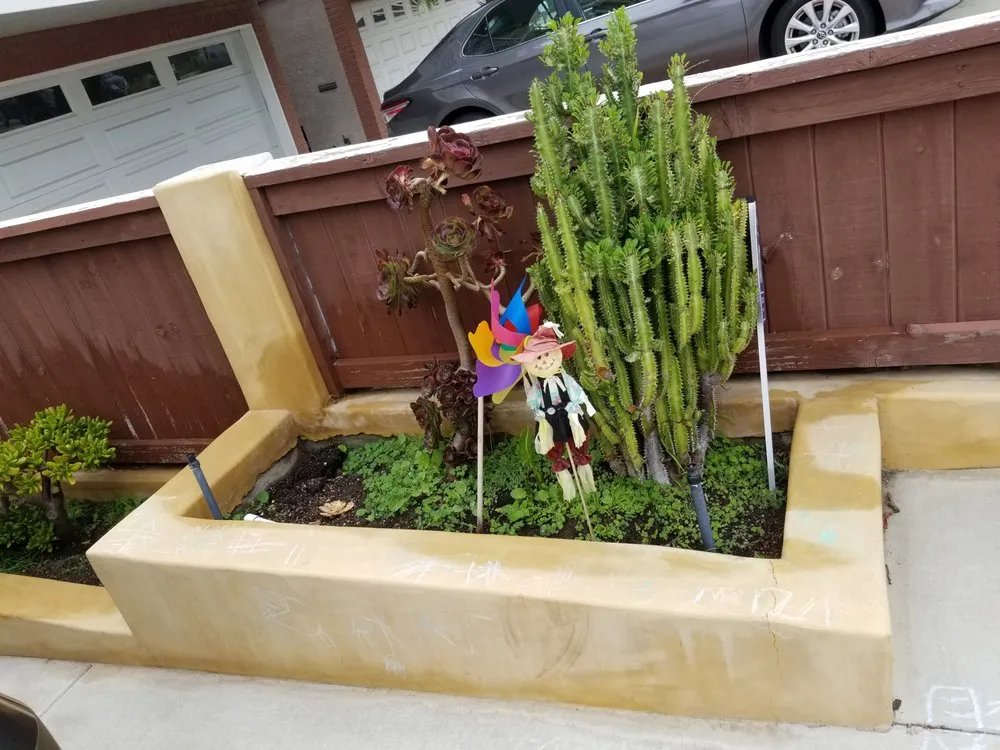 Local residential landscaping in Redondo Beach, CA by Succulent Designs by Mary