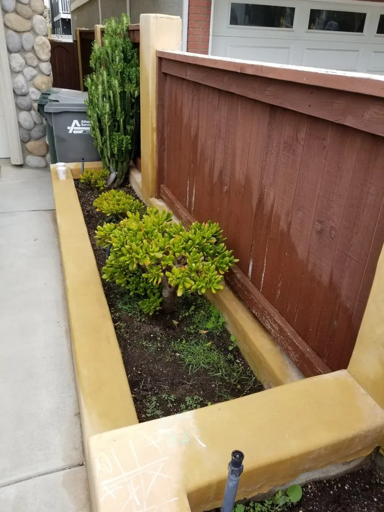 Top-rated residential landscaping experts serving Redondo Beach, CA - Succulent Designs by Mary