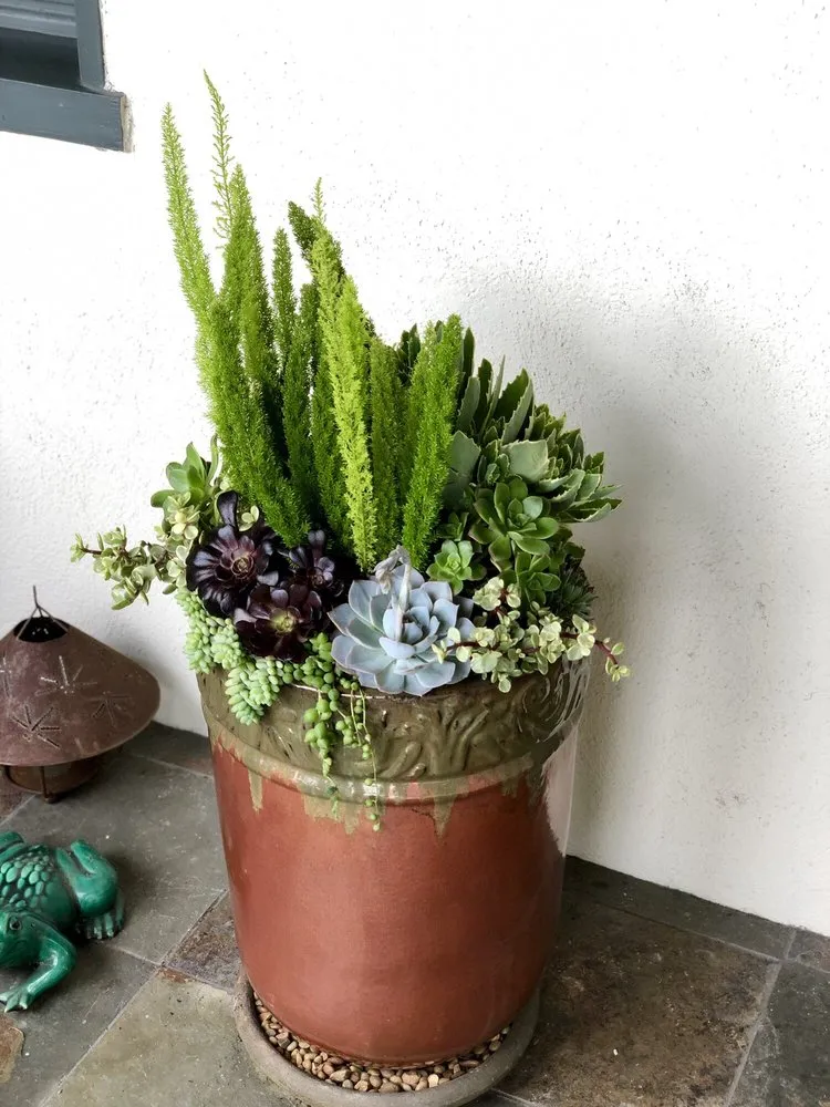 Reliable lawn mowing service for year-round maintenance across Redondo Beach, CA - Succulent Designs by Mary