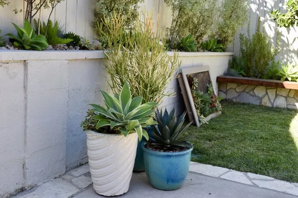 Succulent Designs by Mary