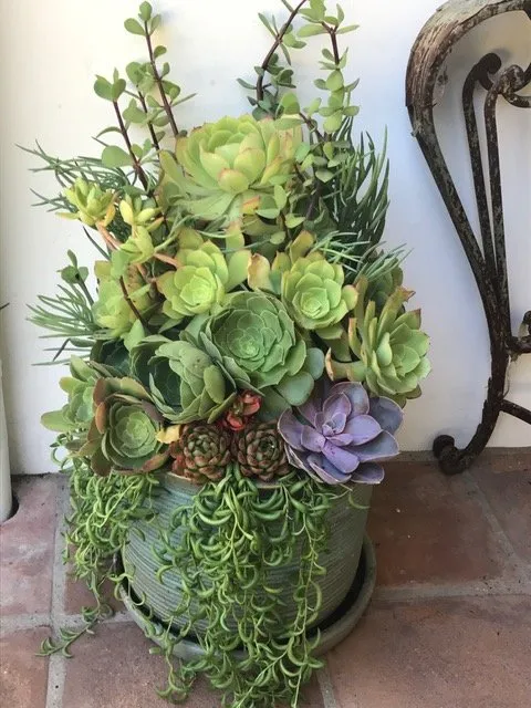 Trusted outdoor landscaping with custom design across Los Angeles, CA - Succulent Simon