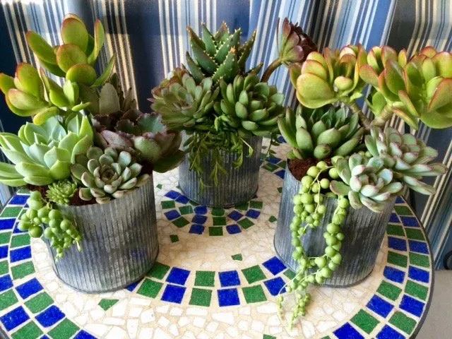 Custom outdoor landscaping for residential properties across Los Angeles, CA - Succulent Simon