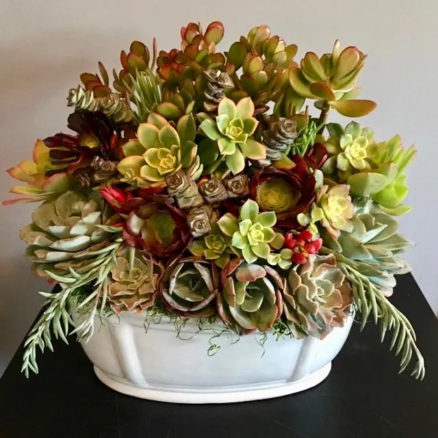 Top-rated landscaping services for year-round maintenance across Los Angeles, CA - Succulent Simon