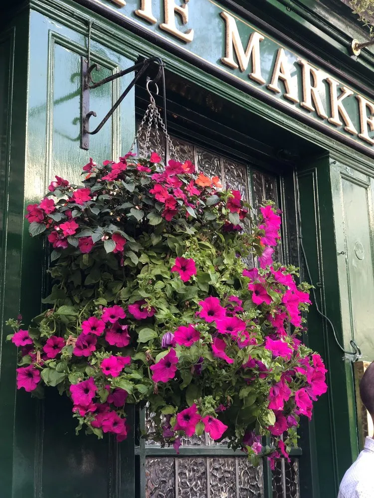 Professional landscape installation near you across Laguna Beach, CA - Succulents And More