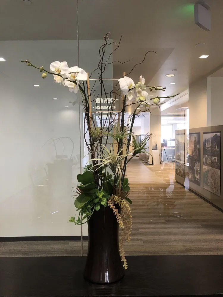 Top-rated lawn care service in Laguna Beach, CA by Succulents And More