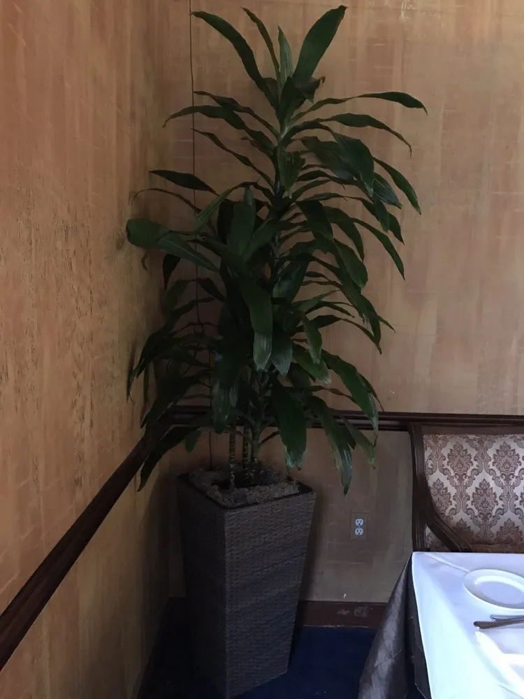 Custom landscaping services with custom design across Laguna Beach, CA - Succulents And More