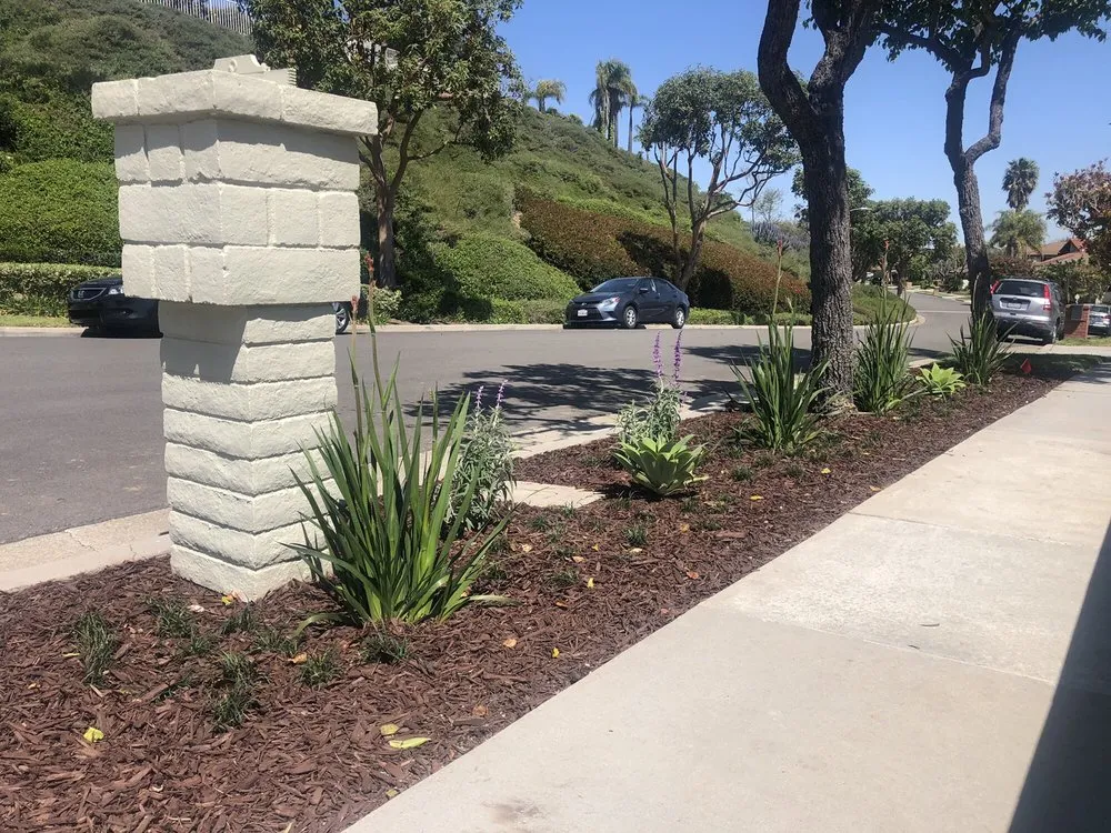 Professional garden landscaping in Laguna Beach, CA by Succulents And More