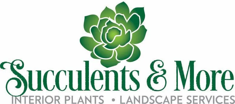 Reliable outdoor landscaping in Laguna Beach, CA by Succulents And More