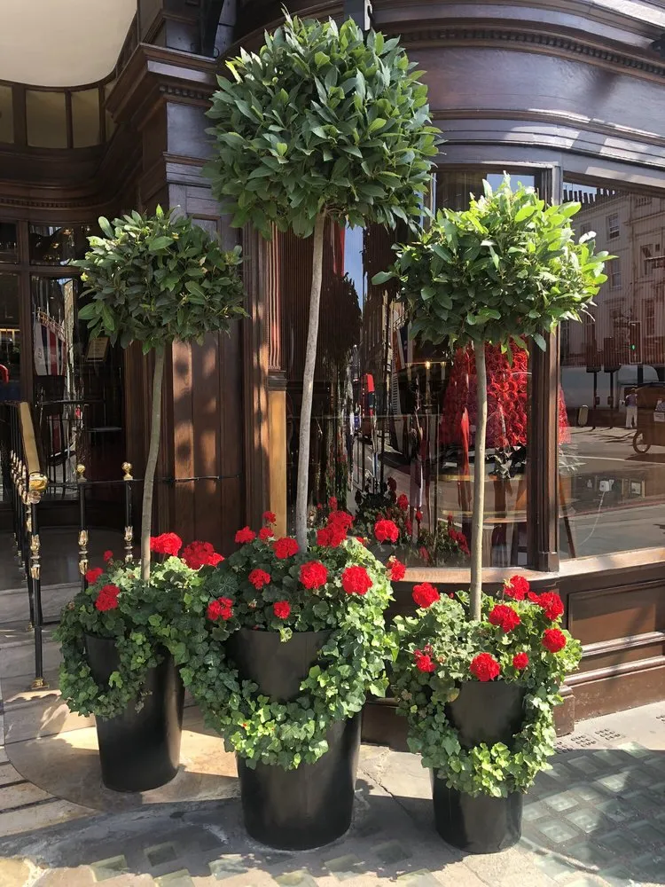 Top-rated lawn care service for residential properties across Laguna Beach, CA - Succulents And More