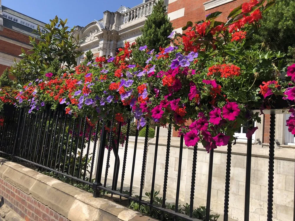 Expert outdoor landscaping in Laguna Beach, CA by Succulents And More