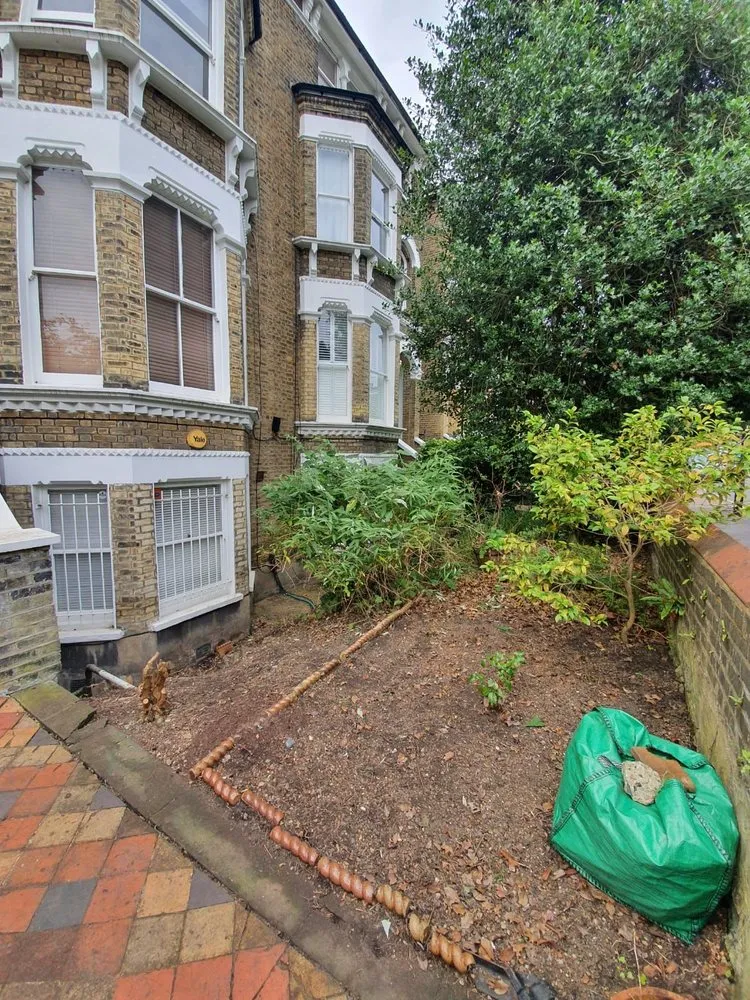 Professional lawn care service for beautiful yards in Summerfield, FL by Succulents Herbs and Nature