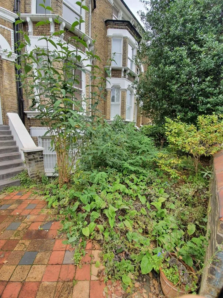 Local lawn mowing service for homes in Summerfield, FL by Succulents Herbs and Nature