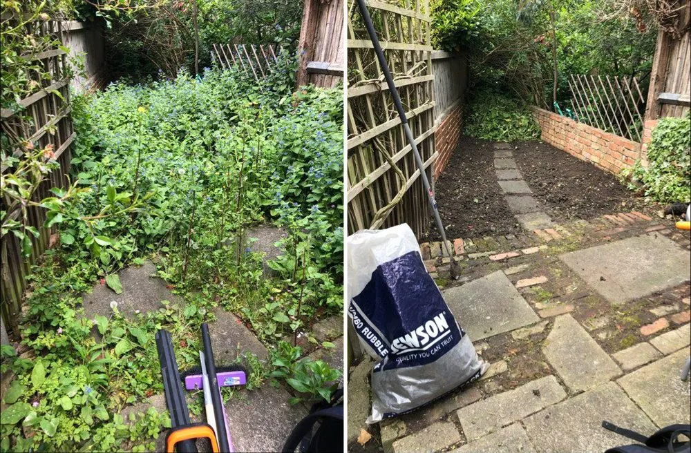 Local yard cleanup service experts serving Summerfield, FL - Succulents Herbs and Nature