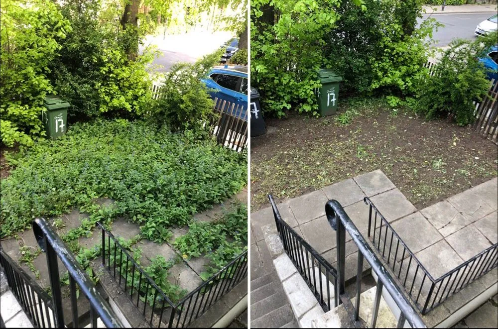 Custom outdoor landscaping in Summerfield, FL by Succulents Herbs and Nature