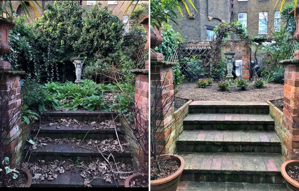 Expert yard cleanup service in Summerfield, FL by Succulents Herbs and Nature