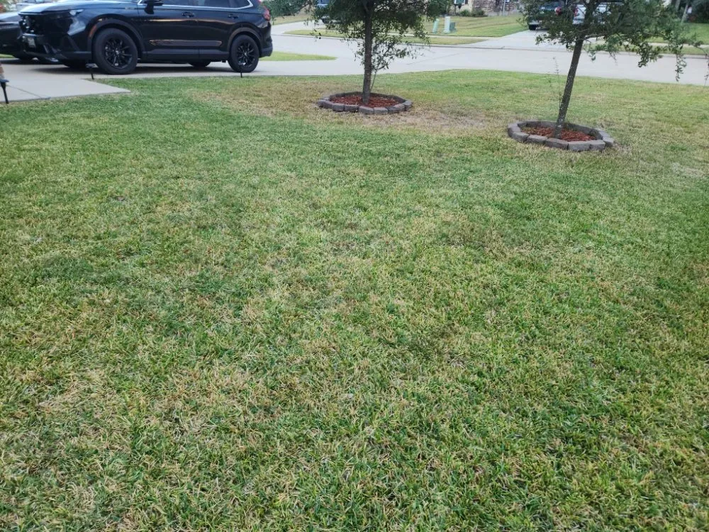 Professional residential landscaping for homes in Navasota, TX by Suds N Buds